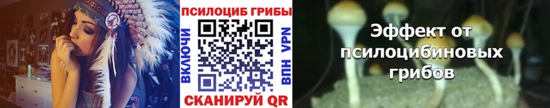 Псилоцибиновые грибы прущие грибы Кукмор